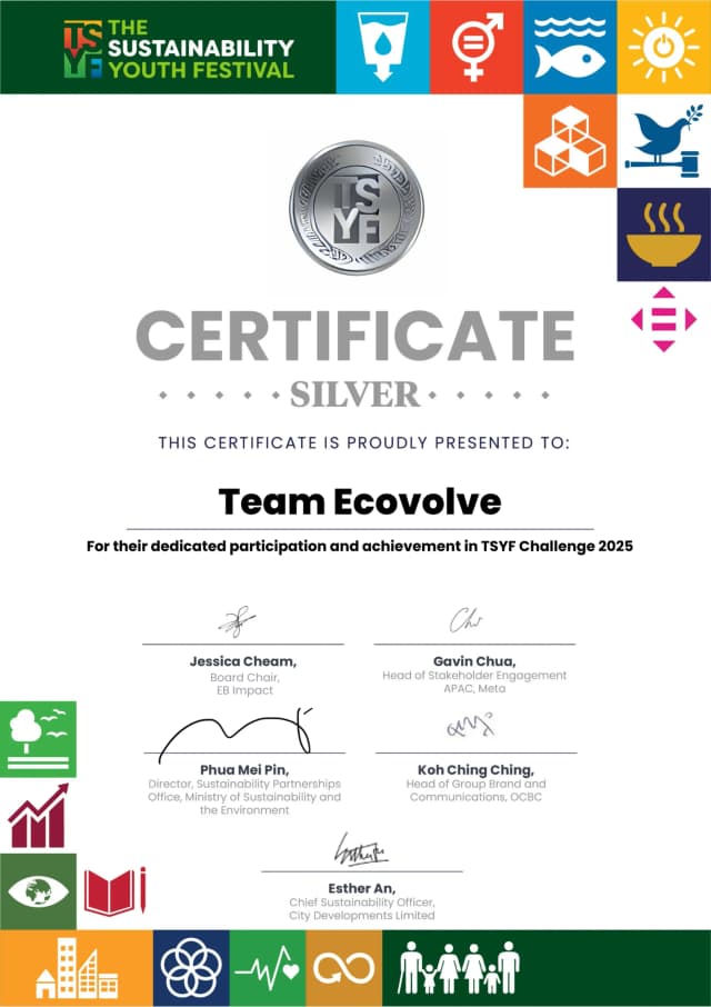 Silver Certificate for Participation